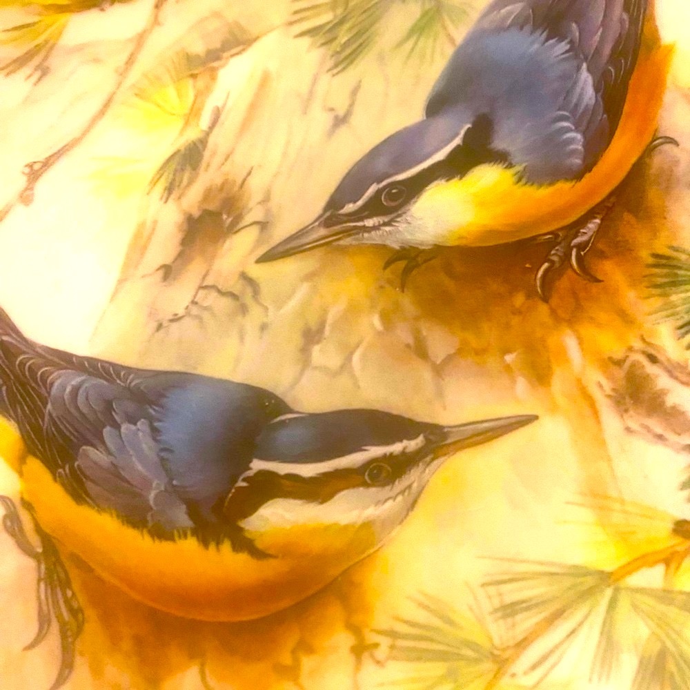 “Songbirds of Europe” 22K Gold Rimmed Collector’s Plate, 1986